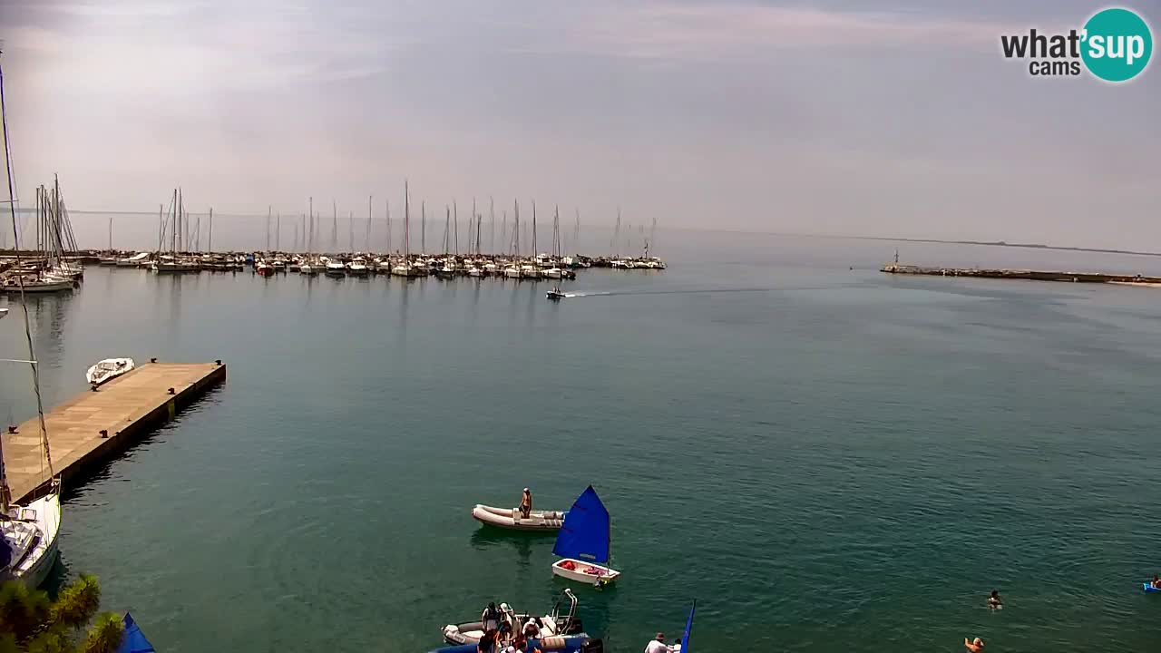 Webcam Sistiana Baia – Live View of the Marina and Gulf