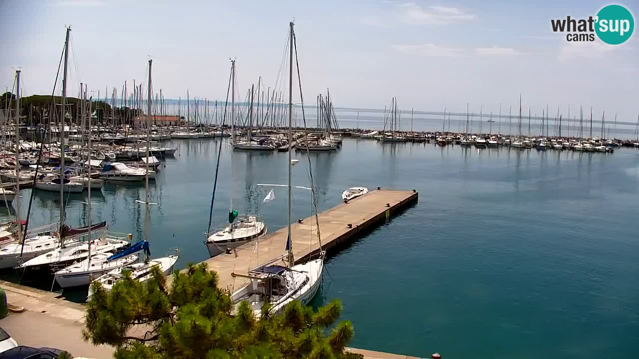 Webcam Sistiana Bucht – Liveblick auf Marina und Bucht