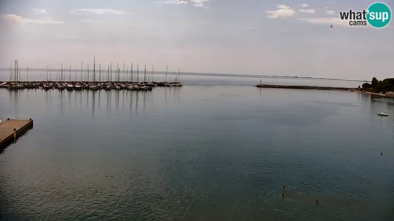 Webcam Sistiana Baia – Live View of the Marina and Gulf