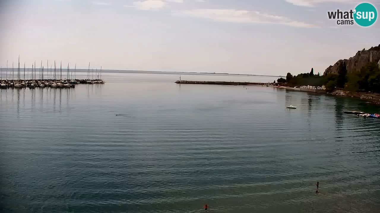 Webcam Bahía de Sistiana – Vista en directo del puerto deportivo y la costa