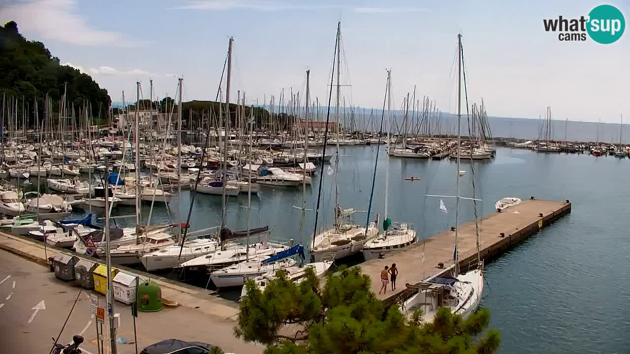 Web kamera Sistiana Uvala – Pogled uživo na marinu i zaljev