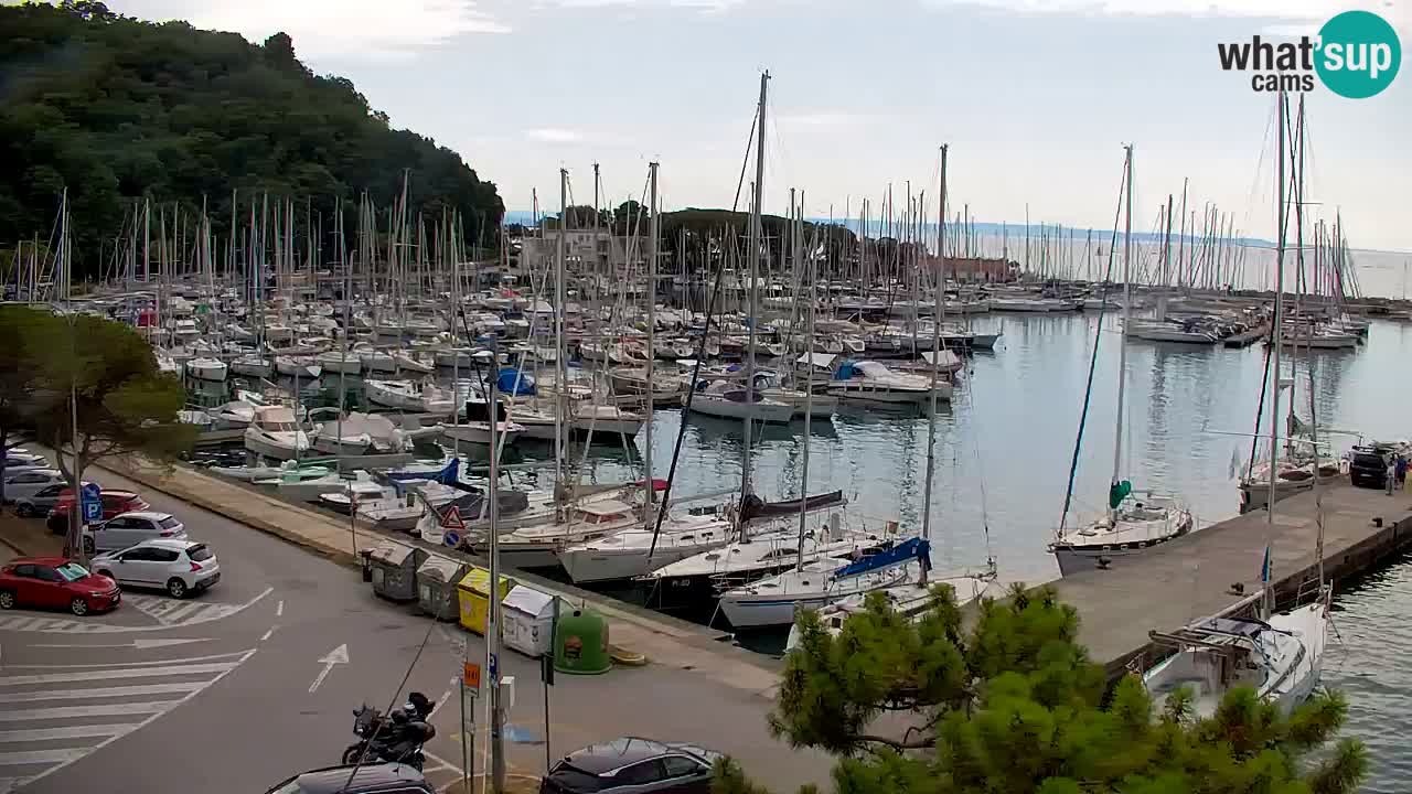 Webcam Sistiana Bucht – Liveblick auf Marina und Bucht
