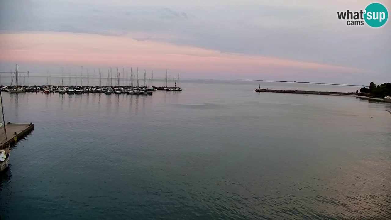 Web kamera Sistiana Uvala – Pogled uživo na marinu i zaljev