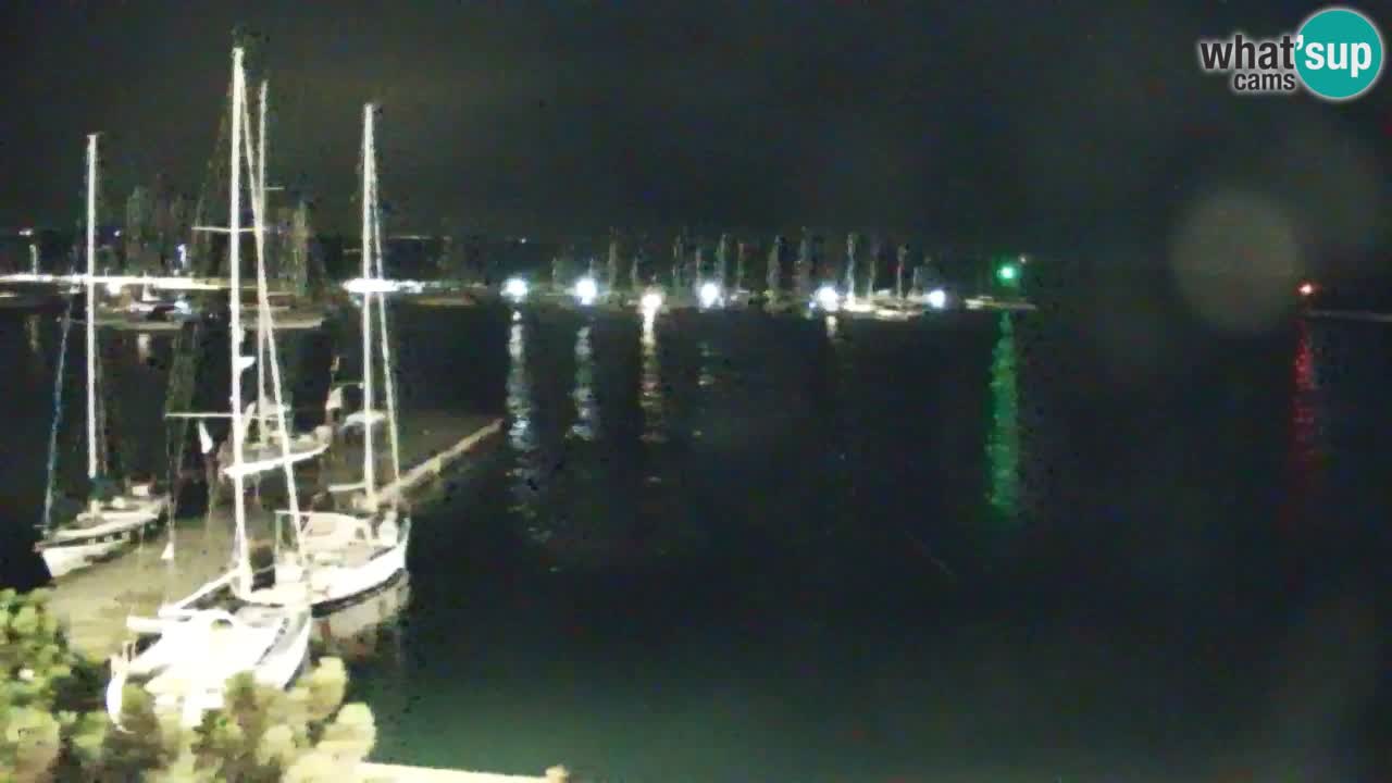 Webcam Sistiana Baia – Live View of the Marina and Gulf