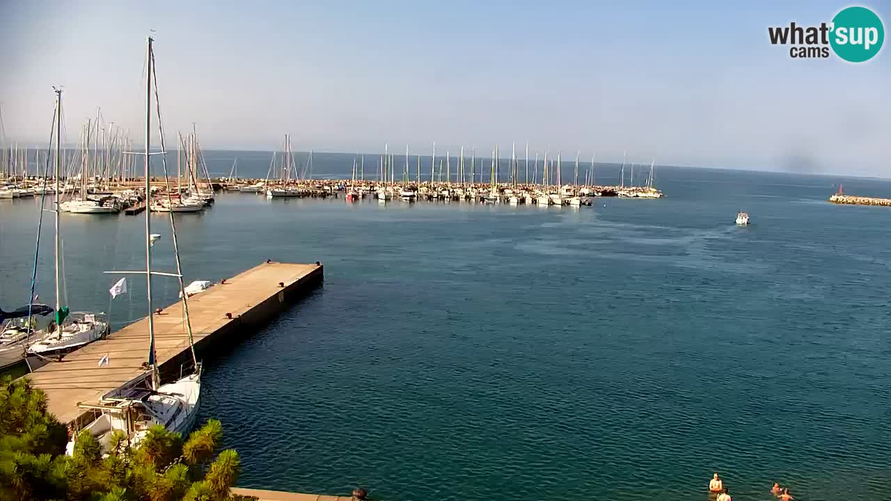 Webcam Bahía de Sistiana – Vista en directo del puerto deportivo y la costa