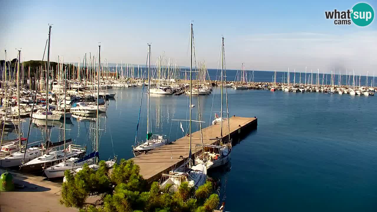 Web kamera Sistiana Uvala – Pogled uživo na marinu i zaljev
