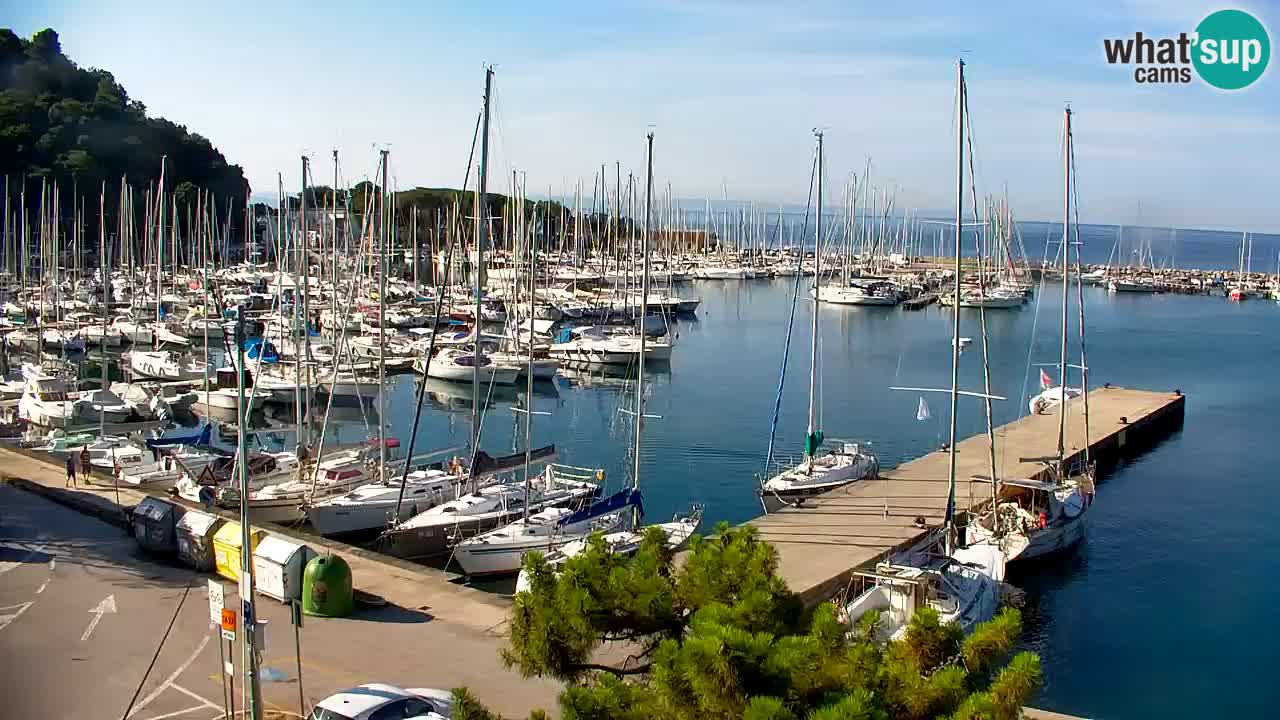 Webcam Sistiana Baia – Live View of the Marina and Gulf