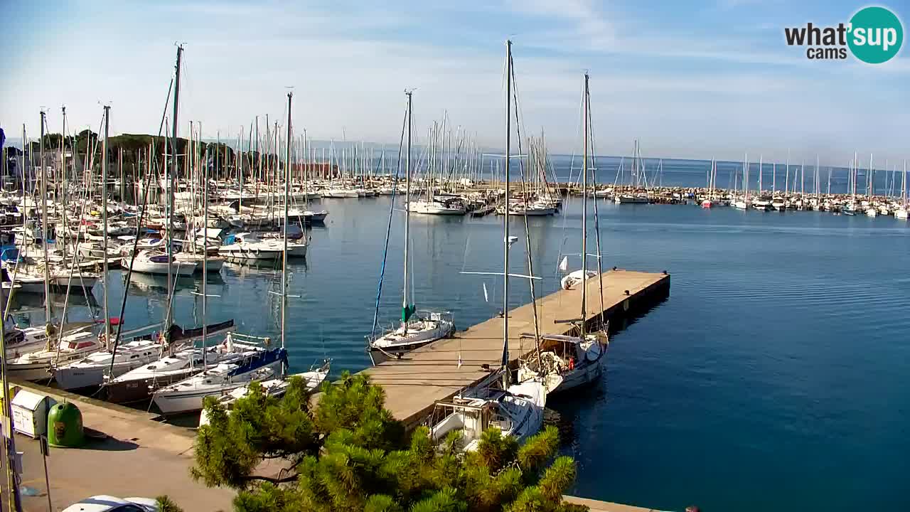 Webcam Bahía de Sistiana – Vista en directo del puerto deportivo y la costa