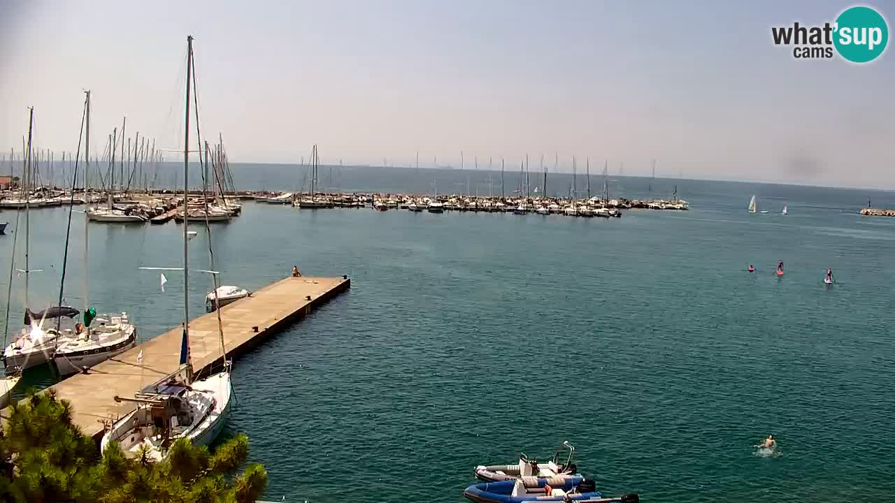 Webcam Bahía de Sistiana – Vista en directo del puerto deportivo y la costa