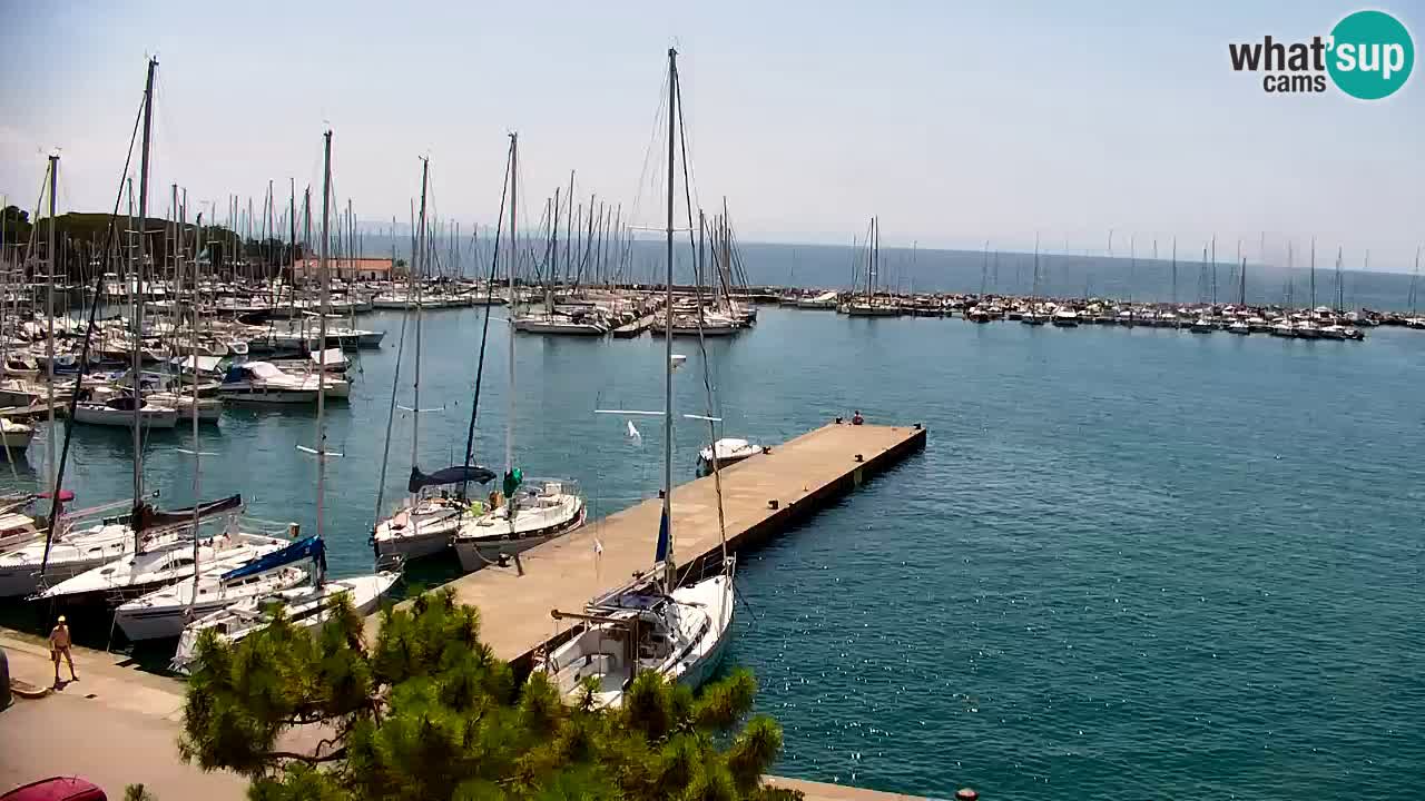 Webcam Baie de Sistiana – Vue en direct de la marina et de la baie