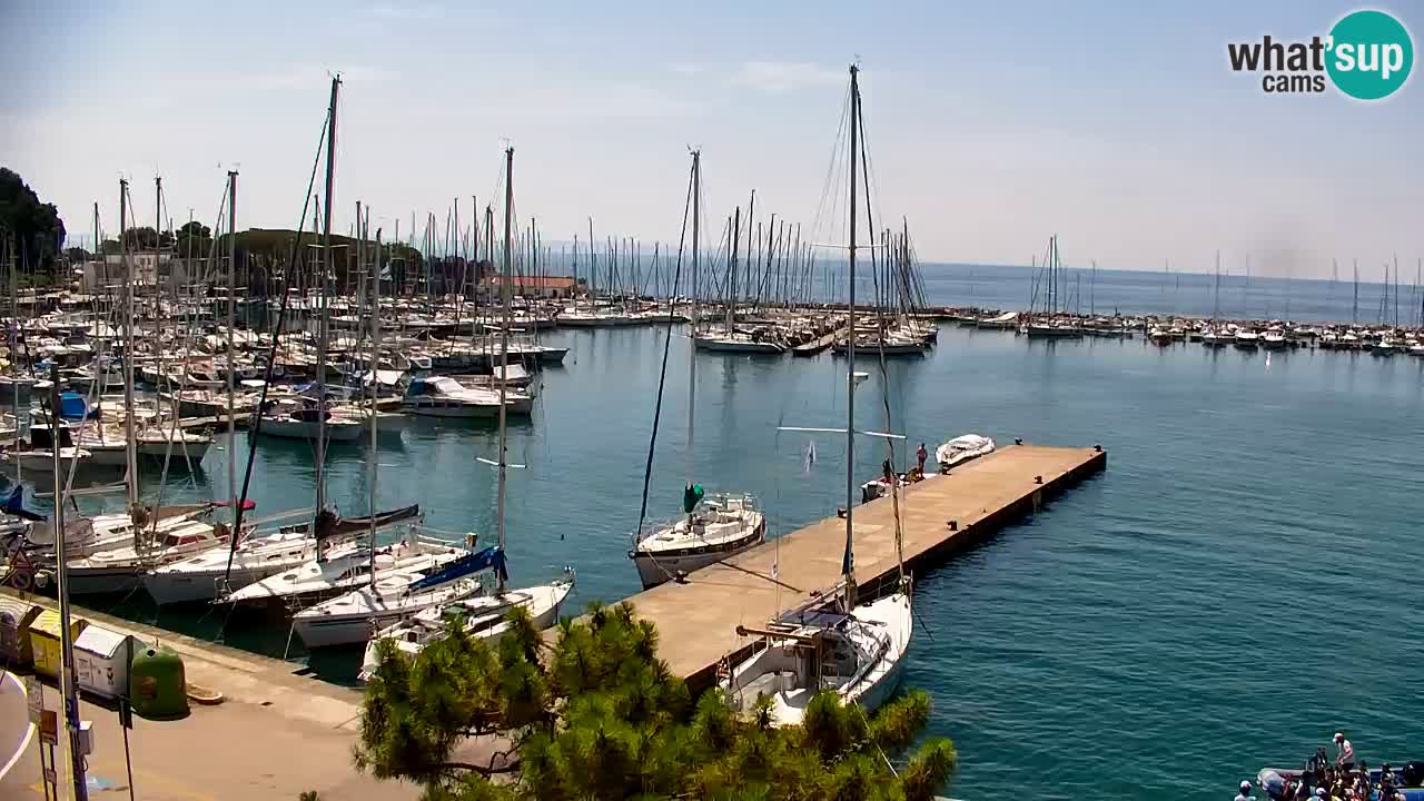 Webcam Sistiana Baia – Live View of the Marina and Gulf