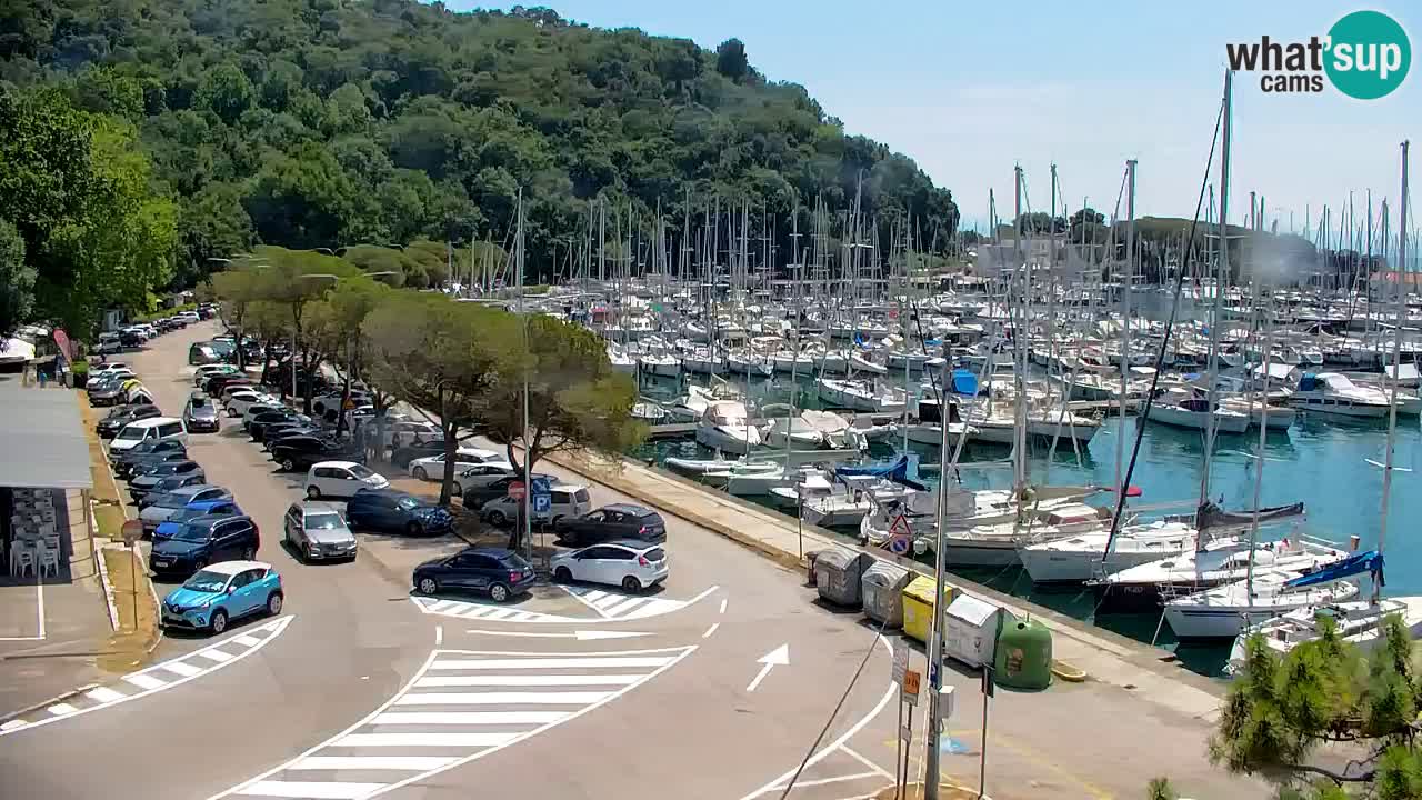 Webcam Baie de Sistiana – Vue en direct de la marina et de la baie
