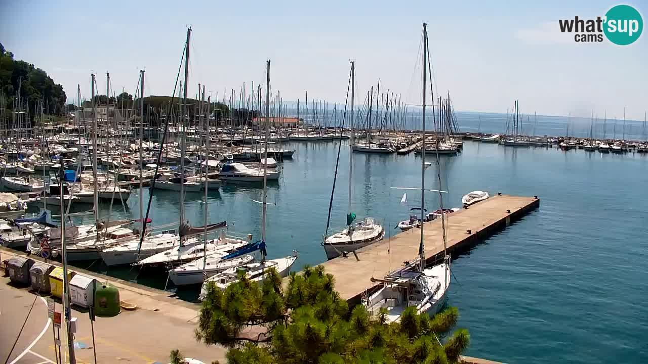 Webcam Bahía de Sistiana – Vista en directo del puerto deportivo y la costa