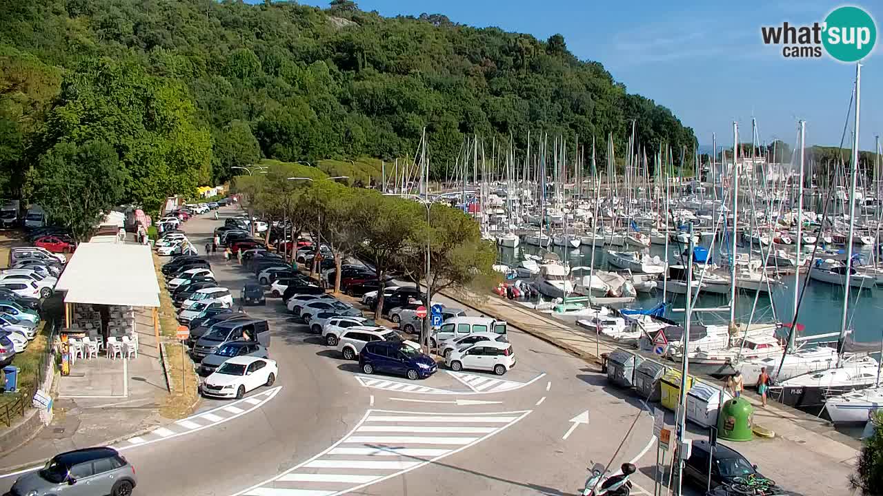 Webcam Sistiana Baia – Live View of the Marina and Gulf