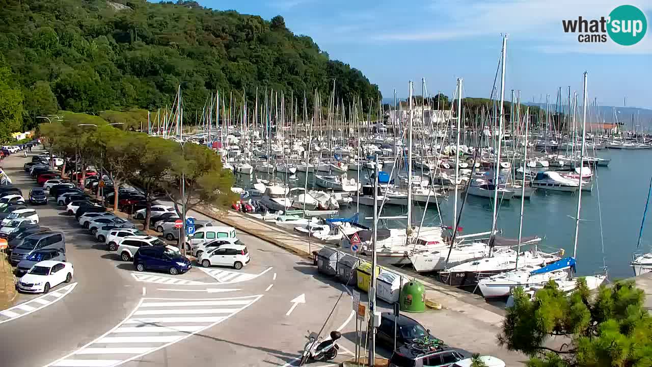 Webcam Sistiana Baia – Live View of the Marina and Gulf