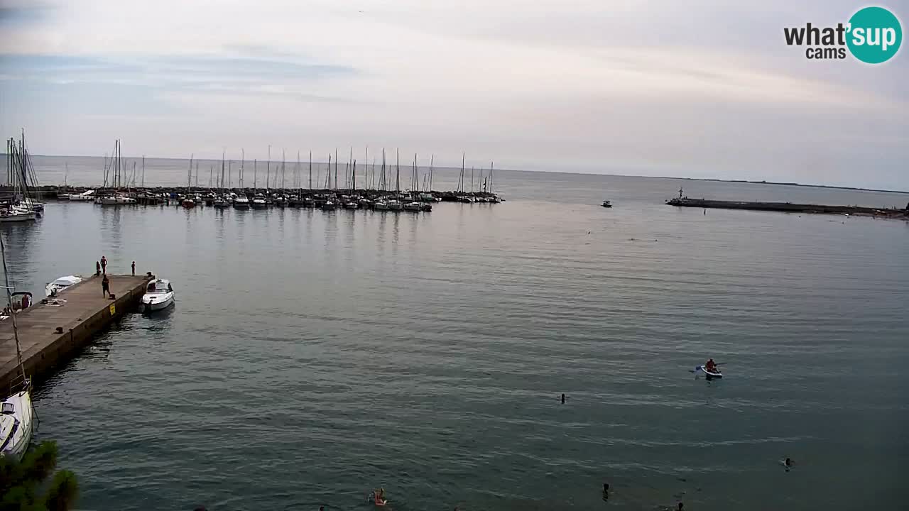 Webcam Sistiana Baia – Live View of the Marina and Gulf