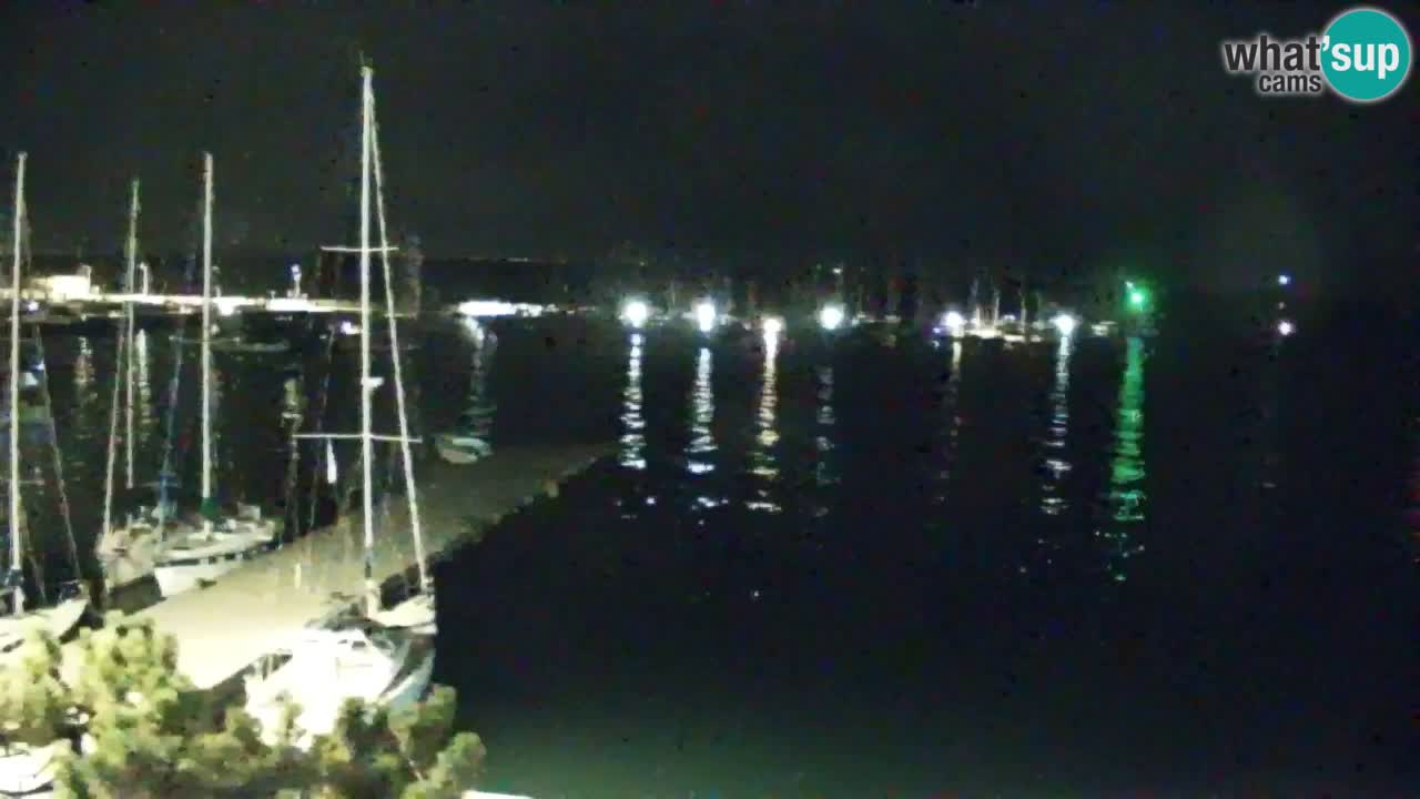 Webcam Sistiana Baia – Live View of the Marina and Gulf