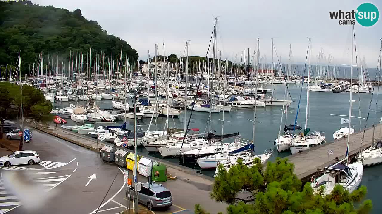 Webcam Sistiana Baia – Live View of the Marina and Gulf