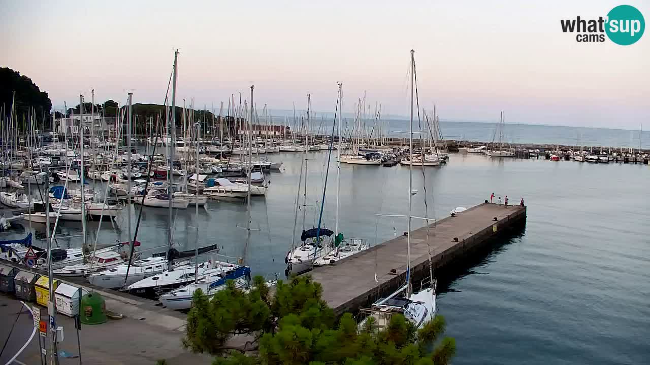 Spletna kamera Sesljanski zaliv – Pogled v živo na marino in zaliv