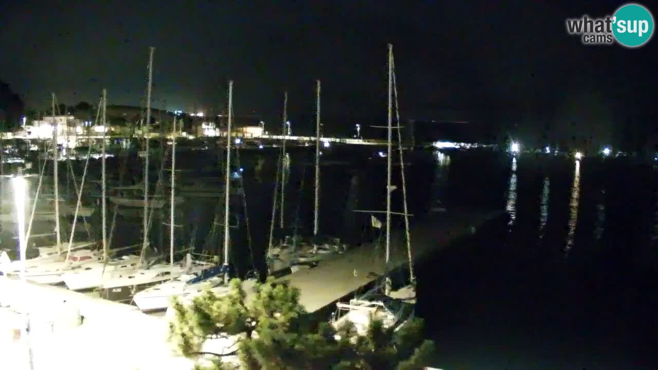 Spletna kamera Sesljanski zaliv – Pogled v živo na marino in zaliv