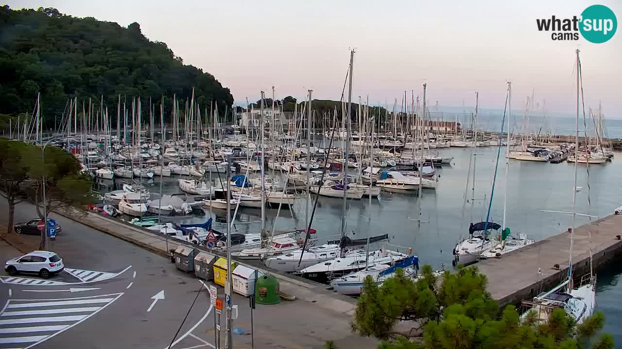 Webcam Sistiana Baia – Live View of the Marina and Gulf