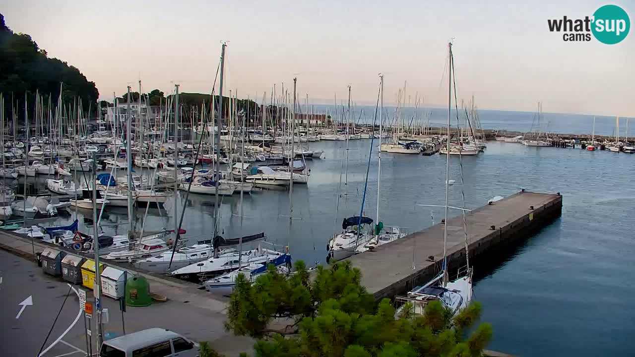 Webcam Sistiana Baia – Live View of the Marina and Gulf