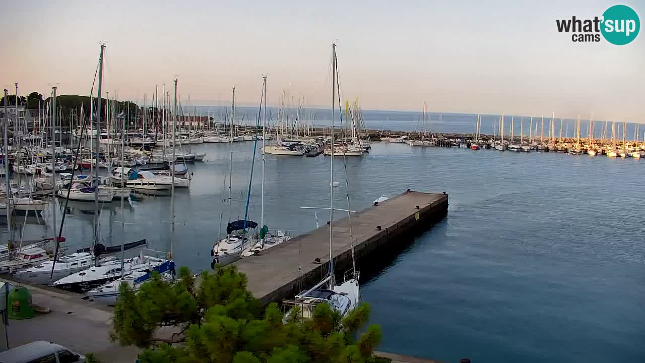 Webcam Sistiana Baia – Live View of the Marina and Gulf
