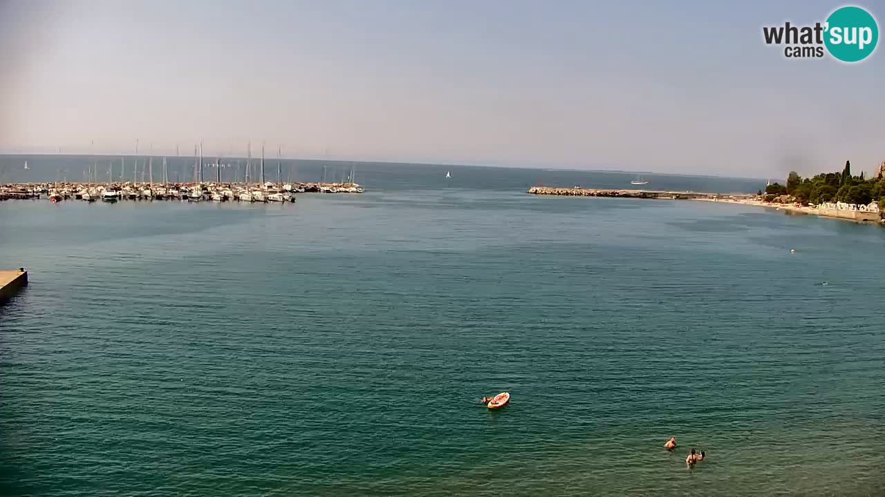 Webcam Bahía de Sistiana – Vista en directo del puerto deportivo y la costa