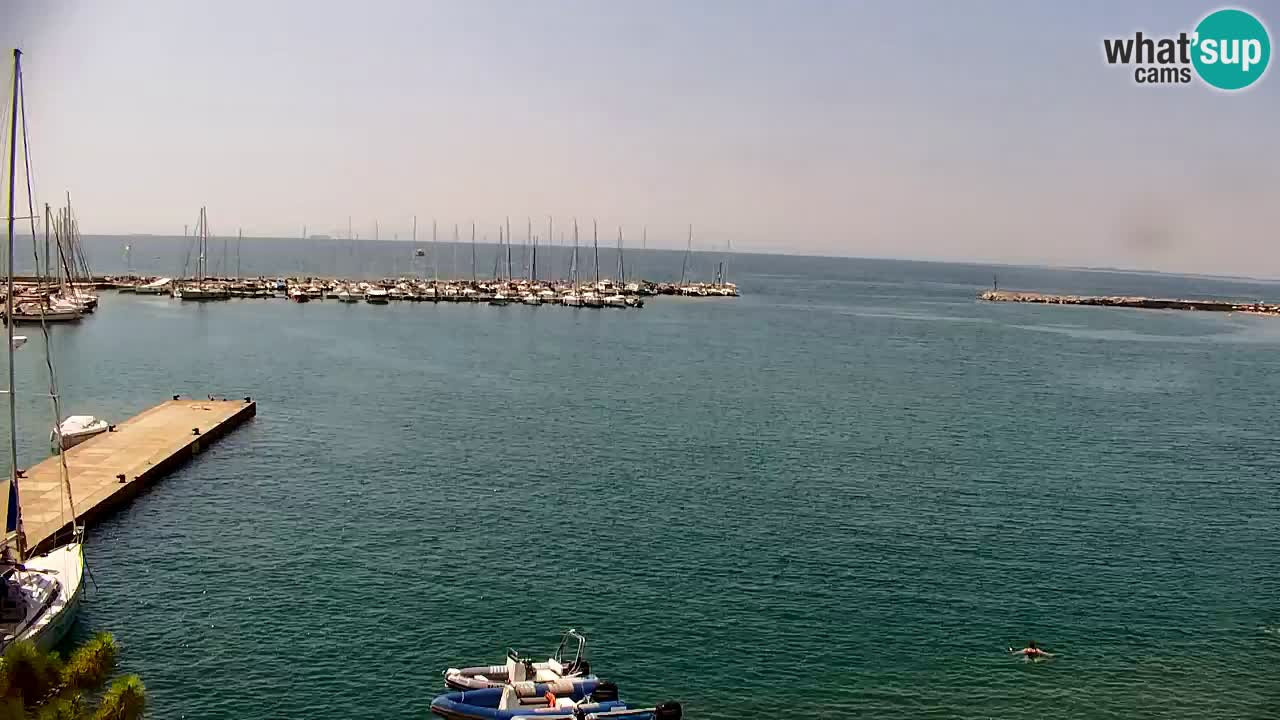 Webcam Bahía de Sistiana – Vista en directo del puerto deportivo y la costa