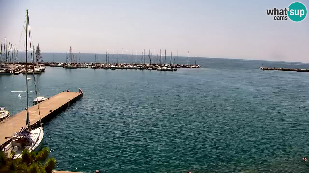 Webcam Sistiana Baia – Live View of the Marina and Gulf