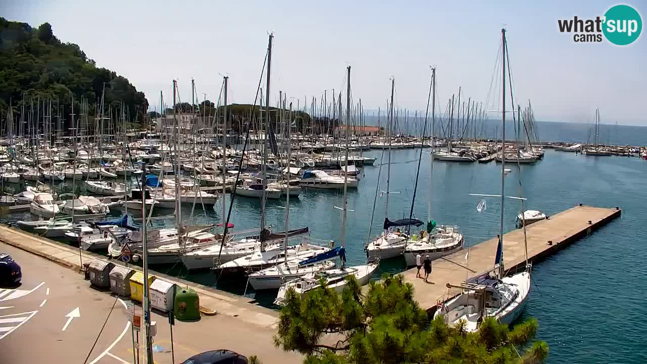 Webcam Sistiana Baia – Live View of the Marina and Gulf