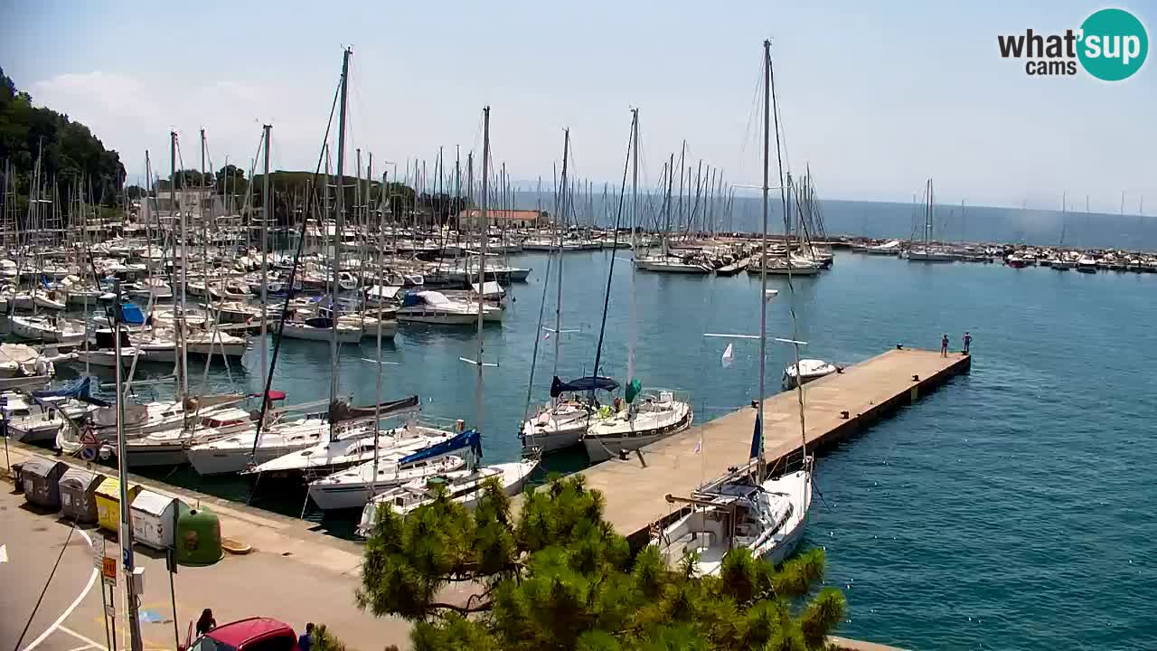 Webcam Bahía de Sistiana – Vista en directo del puerto deportivo y la costa