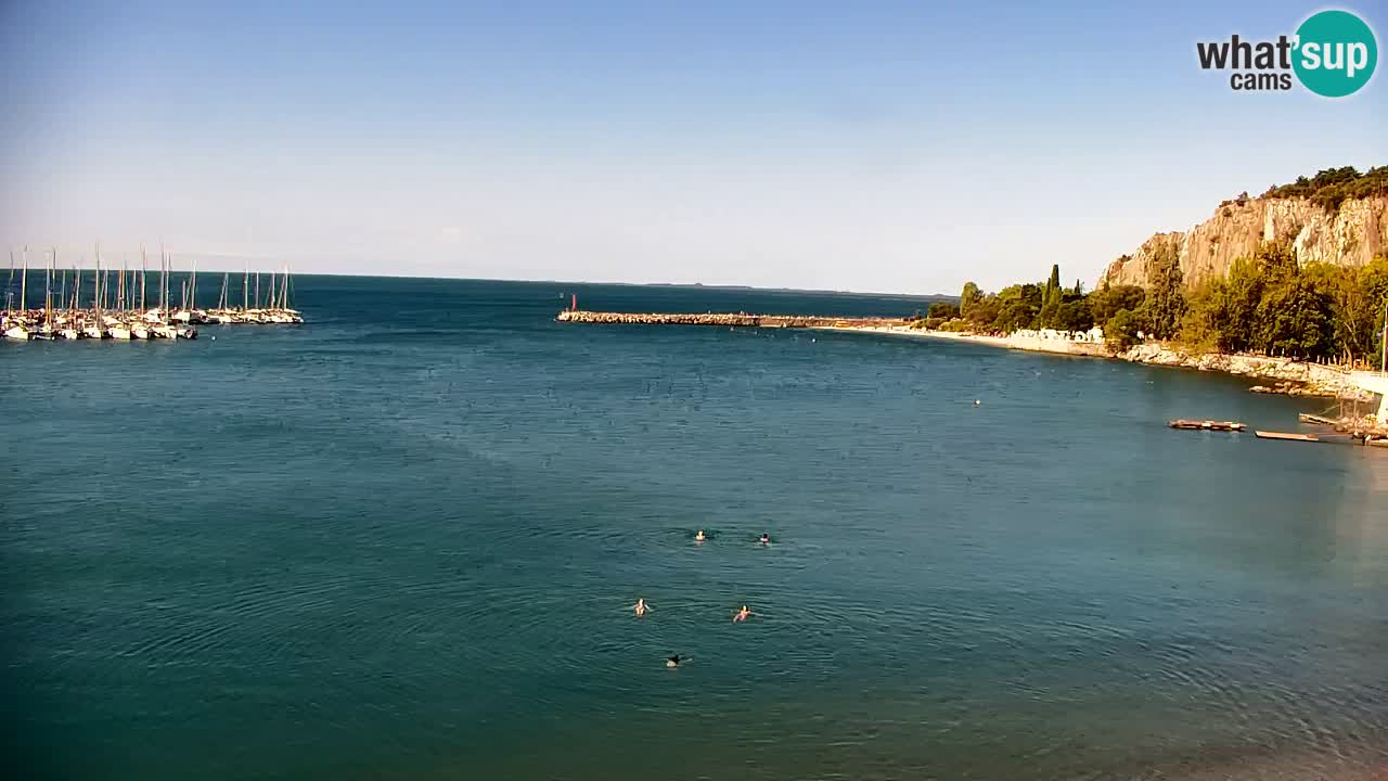 Spletna kamera Sesljanski zaliv – Pogled v živo na marino in zaliv