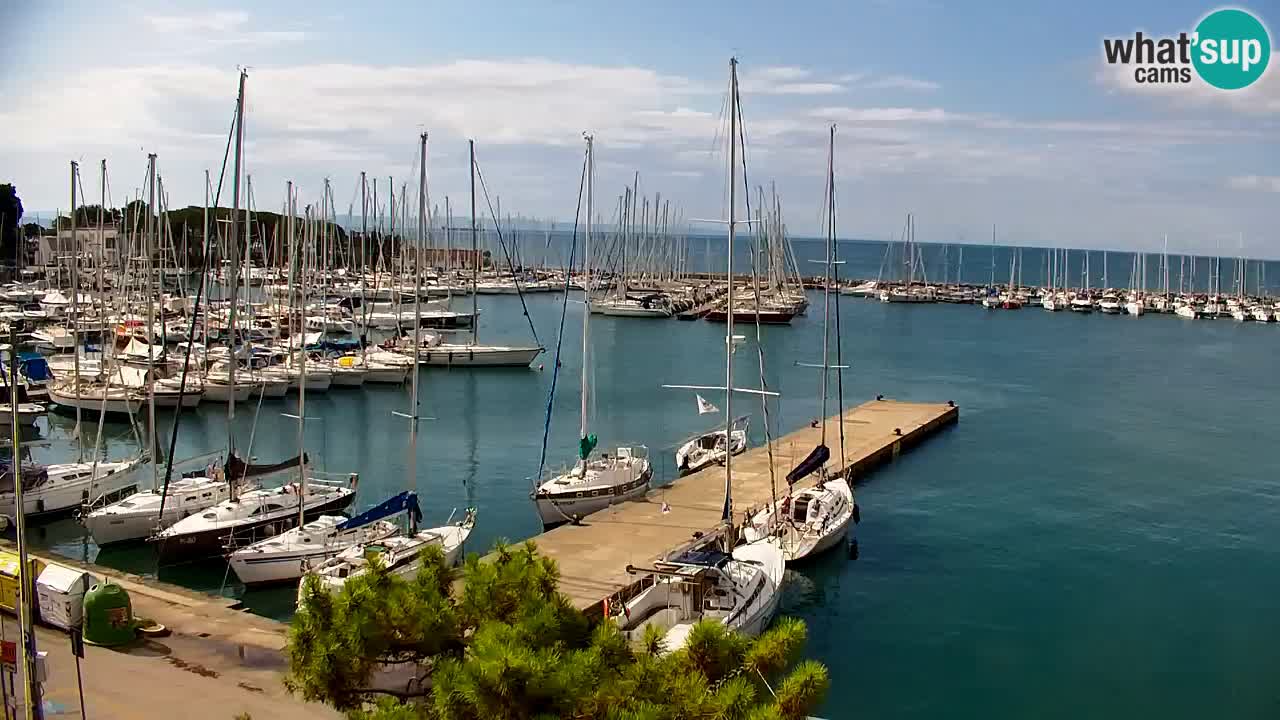 Webcam Baie de Sistiana – Vue en direct de la marina et de la baie