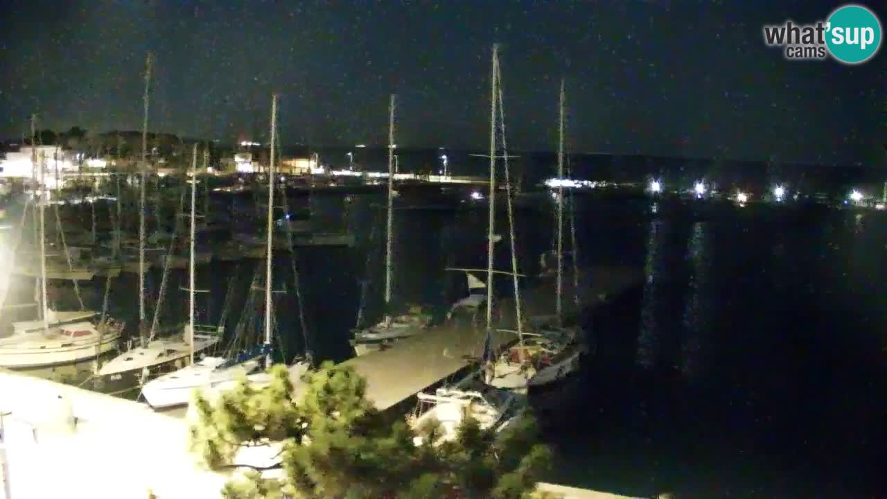 Webcam Sistiana Baia – Live View of the Marina and Gulf