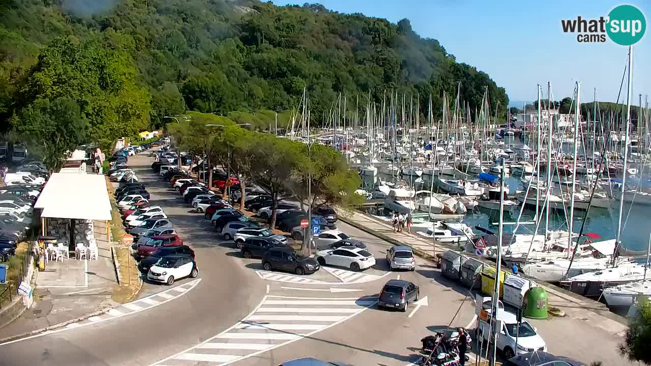 Web kamera Sistiana Uvala – Pogled uživo na marinu i zaljev