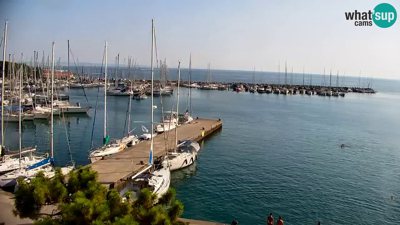 Webcam Bahía de Sistiana – Vista en directo del puerto deportivo y la costa
