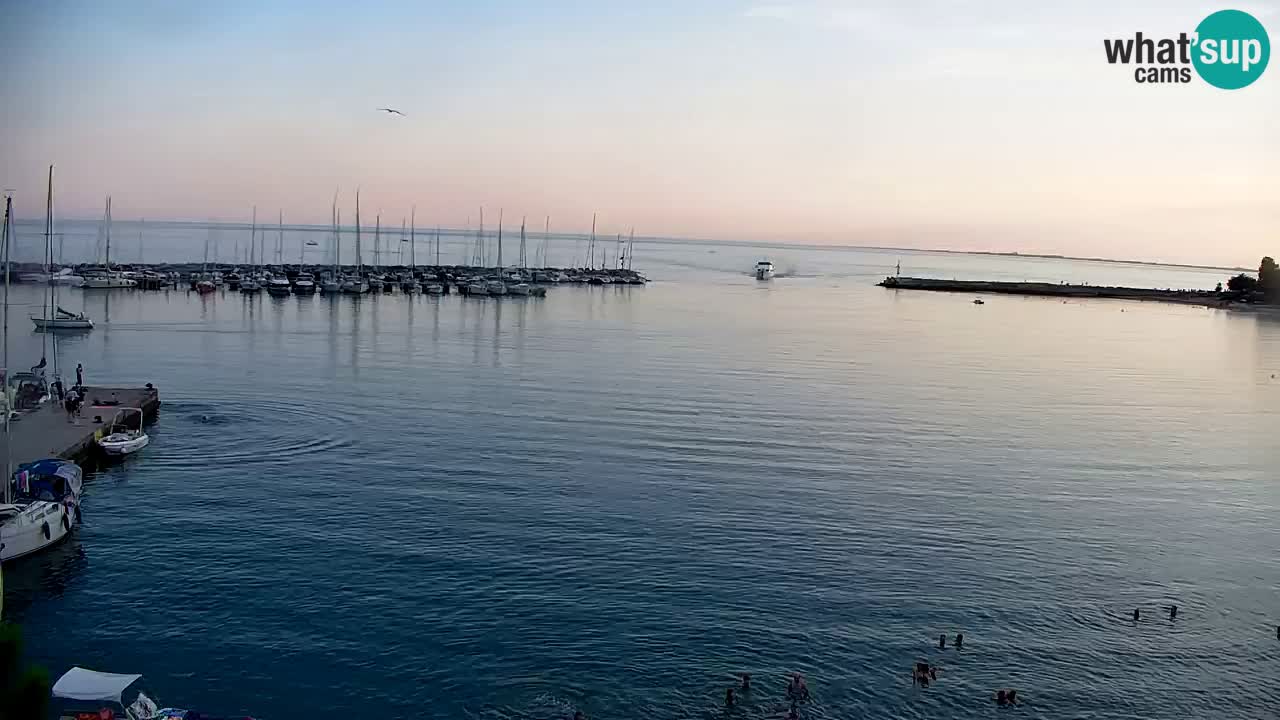 Webcam Bahía de Sistiana – Vista en directo del puerto deportivo y la costa