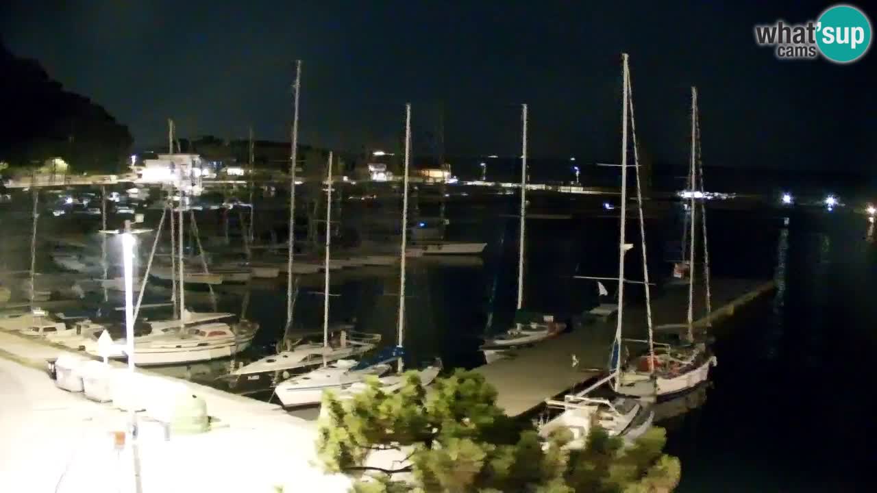 Webcam Baie de Sistiana – Vue en direct de la marina et de la baie