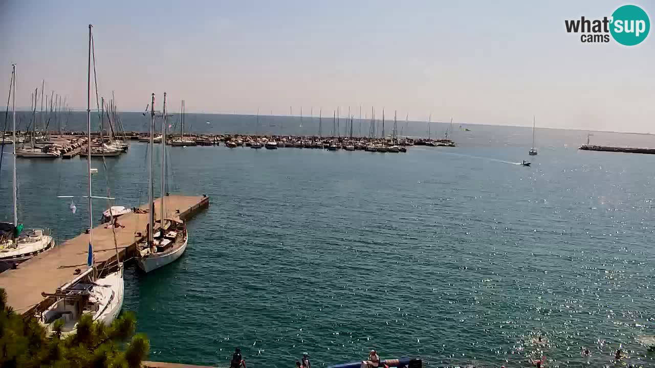 Web kamera Sistiana Uvala – Pogled uživo na marinu i zaljev