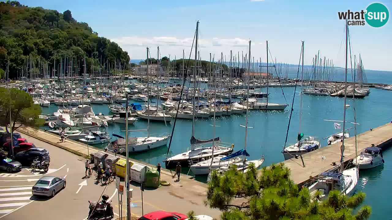 Web kamera Sistiana Uvala – Pogled uživo na marinu i zaljev
