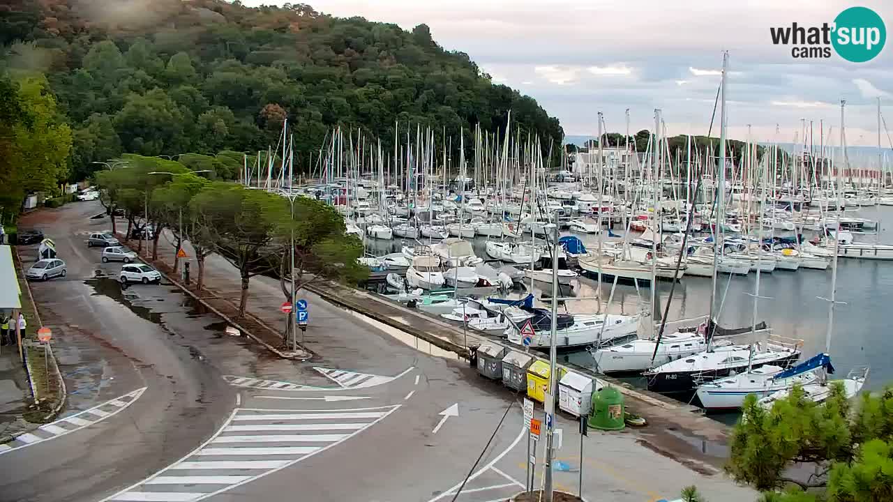 Webcam Bahía de Sistiana – Vista en directo del puerto deportivo y la costa