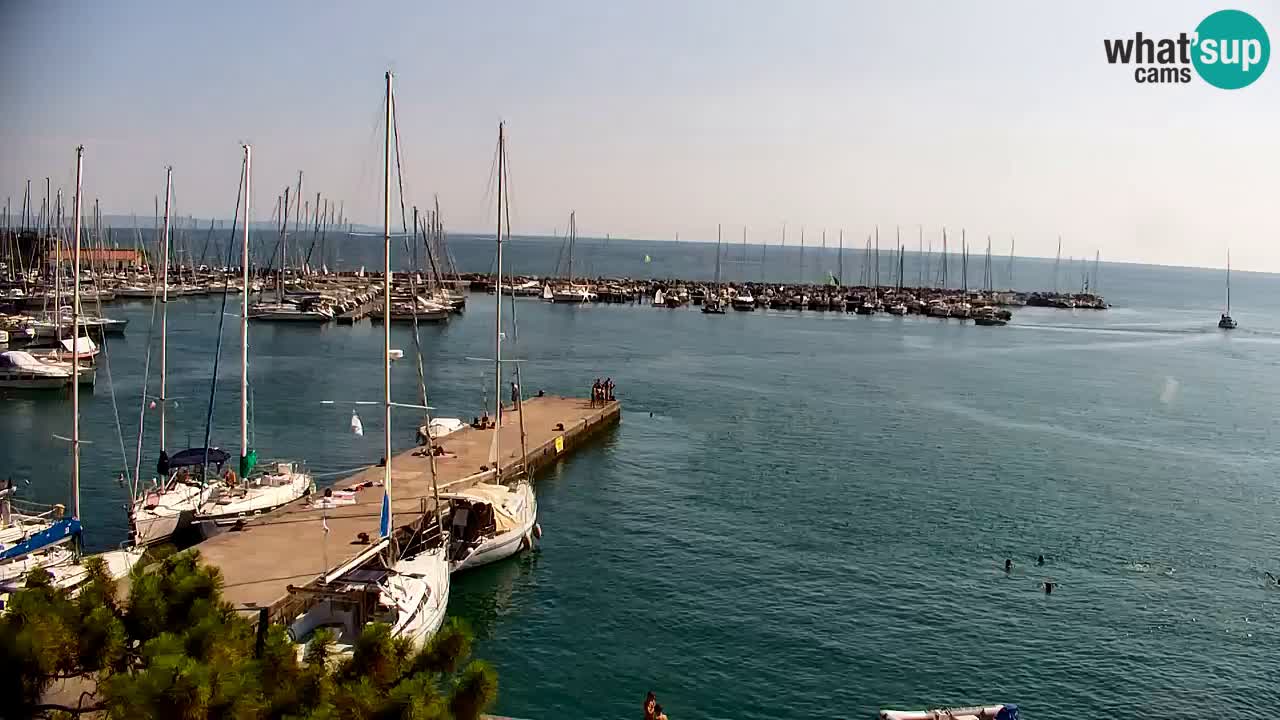 Web kamera Sistiana Uvala – Pogled uživo na marinu i zaljev