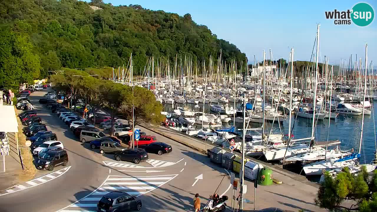 Webcam Bahía de Sistiana – Vista en directo del puerto deportivo y la costa