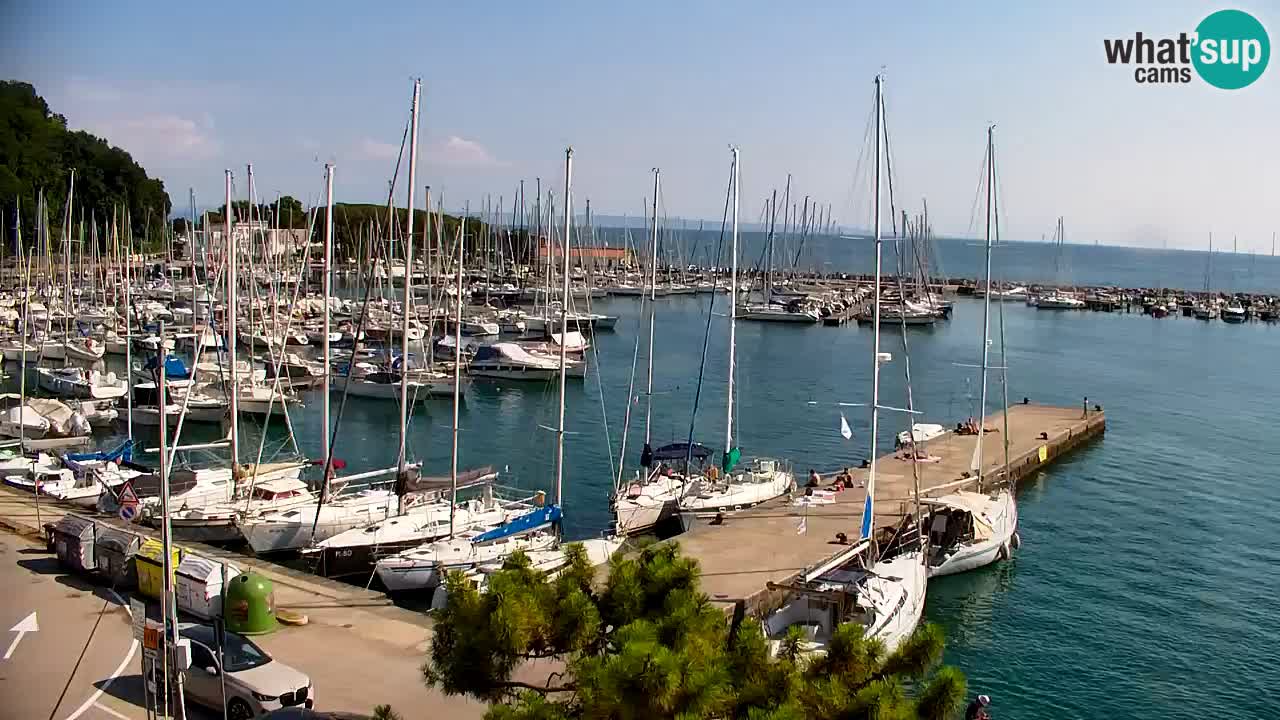 Webcam Sistiana Baia – Live View of the Marina and Gulf
