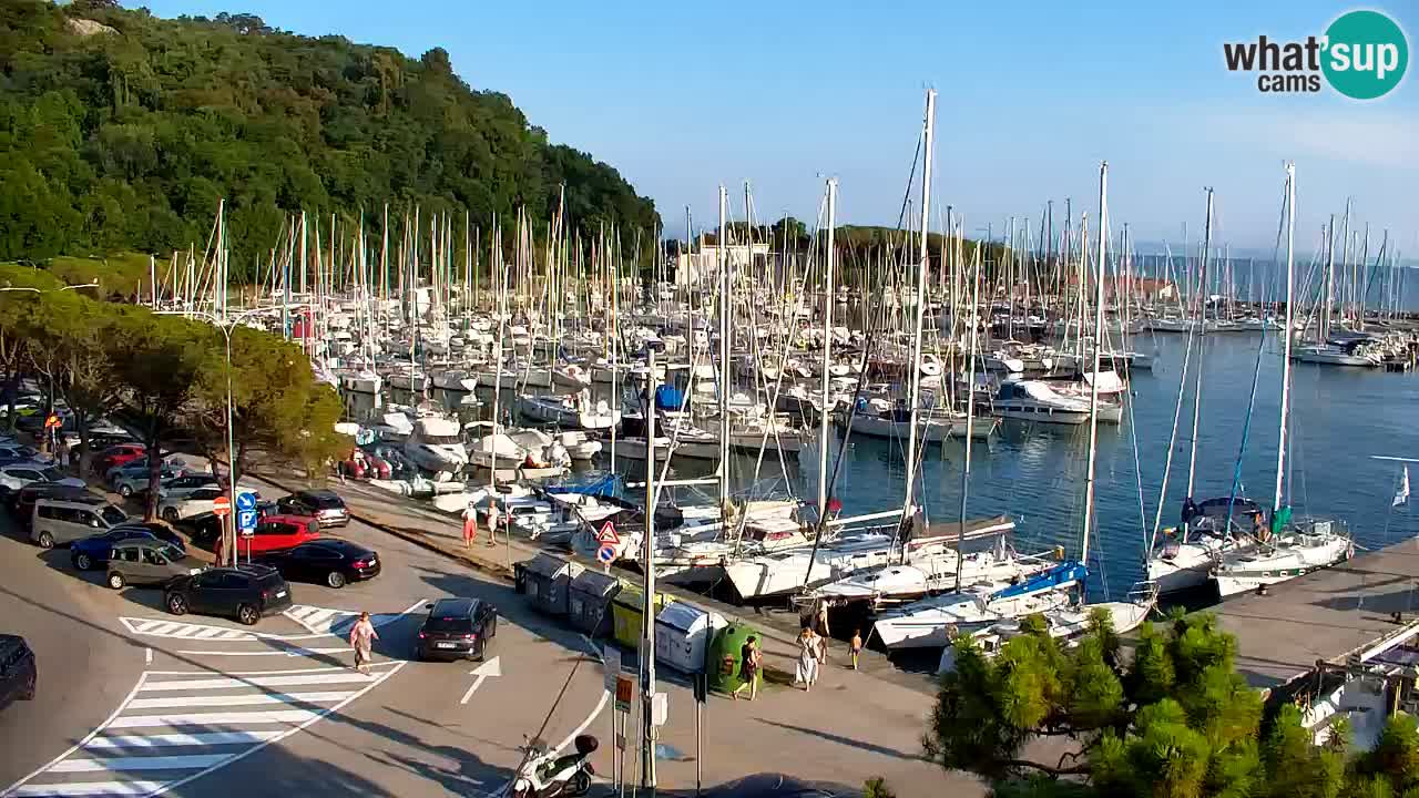 Webcam Sistiana Baia – Live View of the Marina and Gulf