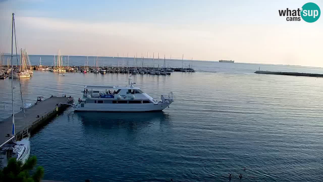 Webcam Bahía de Sistiana – Vista en directo del puerto deportivo y la costa