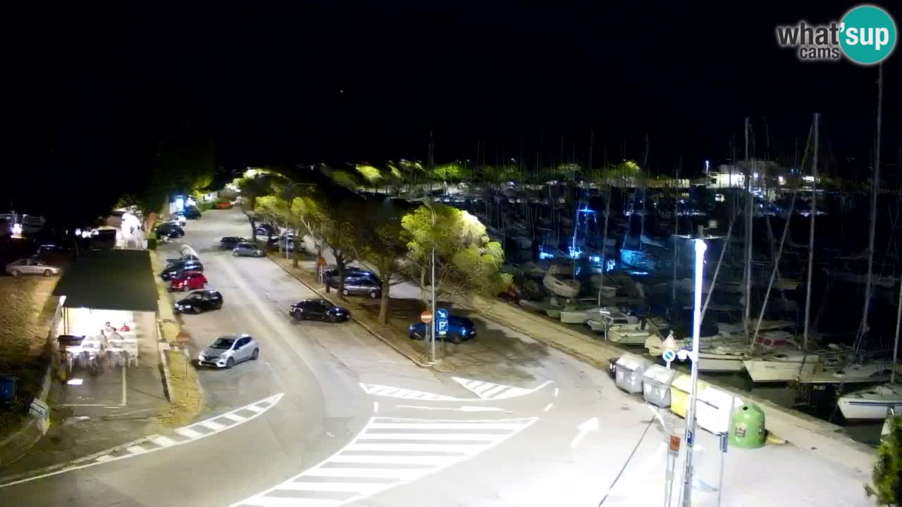 Webcam Sistiana Baia – Live View of the Marina and Gulf