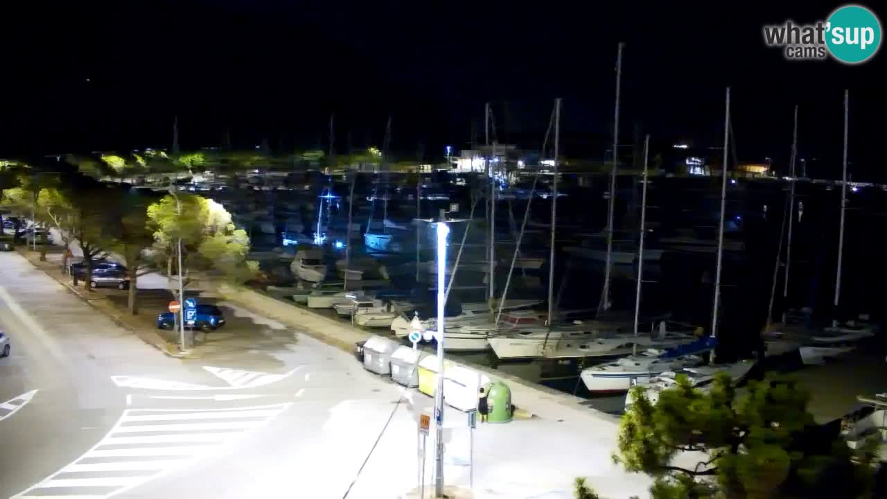 Webcam Sistiana Baia – Live View of the Marina and Gulf
