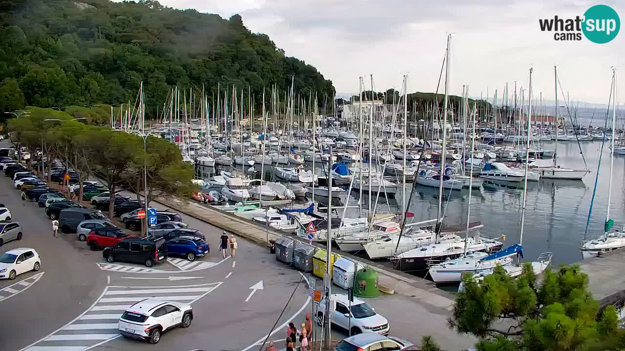 Webcam Sistiana Baia – Live View of the Marina and Gulf